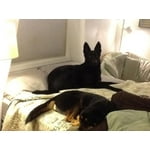 Image 2 of customer photos