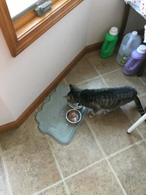 omega paw hungry pet food mat