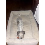 Image 3 of customer photos