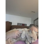 Image 6 of customer photos