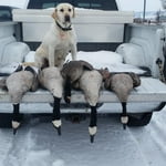 Image 7 of customer photos