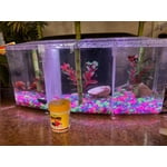 Image 1 of customer photos