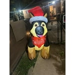 Image 1 of customer photos