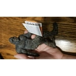 Image 4 of customer photos