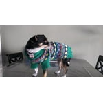 Image 5 of customer photos