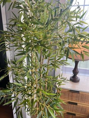 Artificial Bamboo Tree, Fake Bamboo Plant 6FT Tall with 6 Natural Real  Bamboo Trunks, Artificial Tree Indoor Decor Faux Silk Tree for Home Office  Living Room Modern Decor - Walmart.com