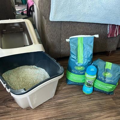 Customer reviews for Kitty Diggin s Fragrance Free Cat Litter 7 Lbs Walmart