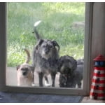 Image 7 of customer photos