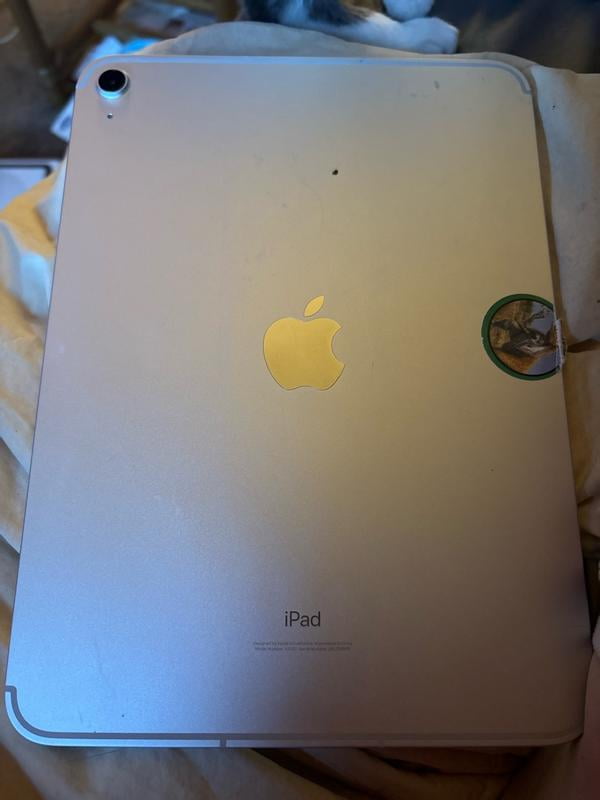 Apple 10.9inch 2022 iPad, Wi-Fi + Cellular, 64GB, Silver, 10th