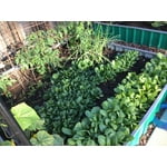 Image 4 of customer photos