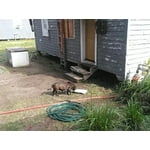 Image 7 of customer photos