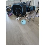 Image 4 of customer photos