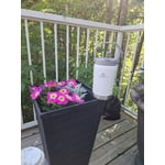 Image 6 of customer photos