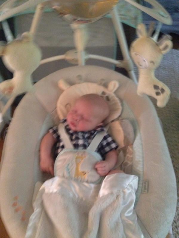 ingenuity giraffe swing