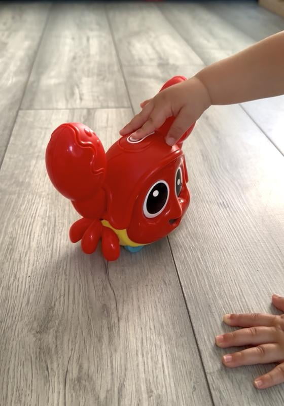 Crab Toy Catch Me Crabbie Little Tikes Catch Me Crabbie Best Sale