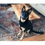 Image 4 of customer photos