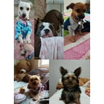 Imagen 2 de las fotos del cliente