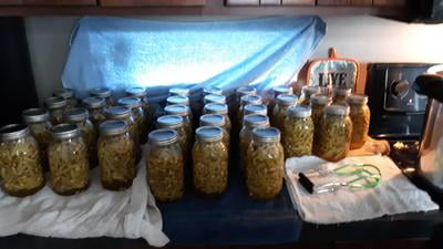23 quart pressure canner walmart