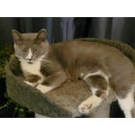 Image 6 of customer photos