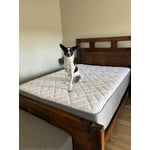 Image 2 of customer photos
