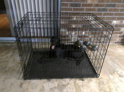 puppy crates walmart