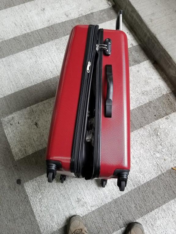 samsonite carbon 2 28