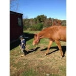 Image 7 of customer photos