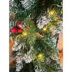 Image 6 of customer photos