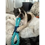 Image 5 of customer photos