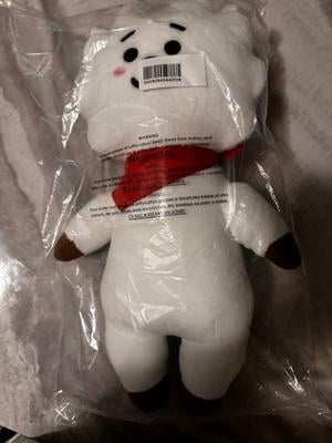 Aurora Plüschtier BT21 RJ – Offizielles K-Pop Merchandise Von BTS