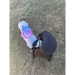 Image 3 of customer photos