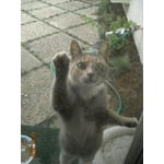 Image 5 of customer photos