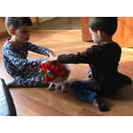 Image 4 of customer photos