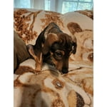 Image 4 of customer photos