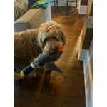 Image 1 of customer photos