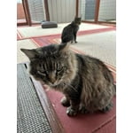 Image 2 of customer photos