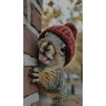 Image 5 of customer photos