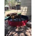 Image 1 of customer photos