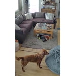 Image 4 of customer photos