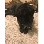 Image 6 of customer photos