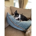 Image 5 of customer photos