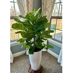 Image 1 of customer photos