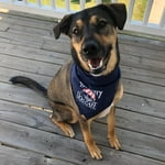 Image 7 of customer photos