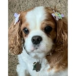 Image 1 of customer photos