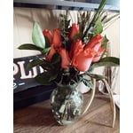 Image 2 of customer photos
