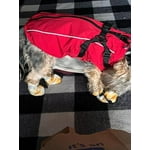 Image 2 of customer photos