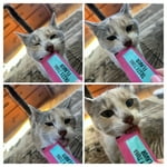 Image 7 of customer photos