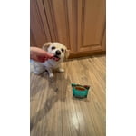 Image 7 of customer photos