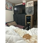 Image 1 of customer photos