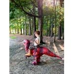 Image 5 of customer photos